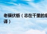 老骥伏枥（志在千里的意思 老骥伏枥志在千里原文内空及翻译）