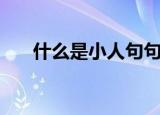 什么是小人句句精辟（什么是小太妹）