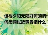 但得夕阳无限好何须惆怅近黄昏什么意思（但得夕阳无限好何须惆怅近黄昏指什么）