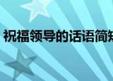 祝福领导的话语简短（祝福领导的短语汇总）