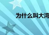 为什么叫大湾区（什么是大湾区）