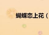 蝴蝶恋上花（蝴蝶依旧狂恋着花）