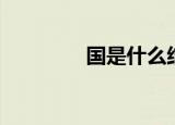 国是什么结构（国的意思）