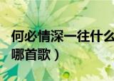 何必情深一往什么歌（歌词何必情深一往出自哪首歌）