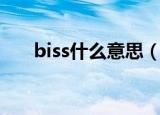 biss什么意思（网络语biss什么意思）