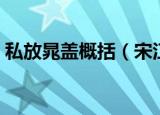 私放晁盖概括（宋江私放晁盖故事内容概括）