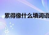 累得像什么填词语（用累得像什么来造句）