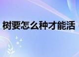树要怎么种才能活（树要怎么种才能活得好）