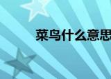 菜鸟什么意思（菜鸟是什么意思）