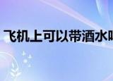 飞机上可以带酒水吗（飞机上能不能带酒水）