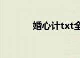 婚心计txt全文下载（婚心计）