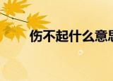伤不起什么意思（伤不起什么意思）