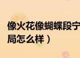 像火花像蝴蝶段宁结局（像火花像蝴蝶段宁结局怎么样）