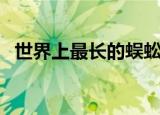 世界上最长的蜈蚣（世界十大最大的蜈蚣）