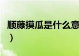 顺藤摸瓜是什么意思（词语顺藤摸瓜什么意思）