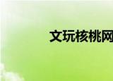 文玩核桃网站（文玩核桃网）