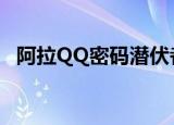 阿拉QQ密码潜伏者（阿拉qq密码潜伏者）