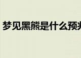梦见黑熊是什么预兆（梦见黑熊有什么预兆）
