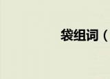 袋组词（袋字怎么组词）