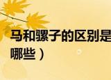 马和骡子的区别是什么（马和骡子的区别都有哪些）