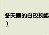 冬天里的白玫瑰歌词（冬天里的白玫瑰歌简介）