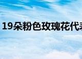 19朵粉色玫瑰花代表什么意思（有什么寓意）