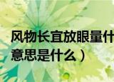 风物长宜放眼量什么意思（风物长宜放眼量的意思是什么）