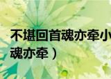 不堪回首魂亦牵小说全文免费阅读（不堪回首魂亦牵）