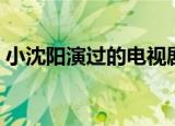 小沈阳演过的电视剧有哪些（小沈阳的简介）