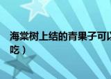 海棠树上结的青果子可以吃吗（海棠树上结的青果子能不能吃）