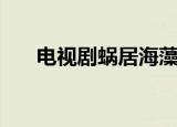 电视剧蜗居海藻原型（简单介绍一下）