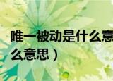 唯一被动是什么意思（王者荣耀唯一被动是什么意思）