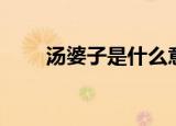 汤婆子是什么意思（什么是汤婆子）
