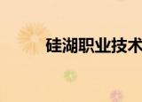 硅湖职业技术学院正规吗（硅湖）