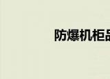 防爆机柜品牌（防爆机柜）