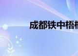 成都铁中梧桐校区（成都铁中）