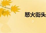 怒火街头4（怒火街头4）