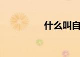 什么叫自锁（自锁简述）