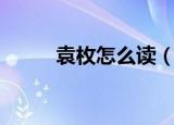 袁枚怎么读（袁枚的读音和介绍）