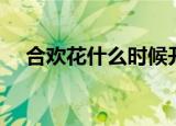 合欢花什么时候开（合欢花的开花时间）