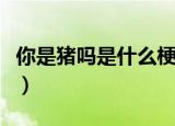 你是猪吗是什么梗（网络语你是猪吗什么意思）