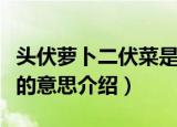 头伏萝卜二伏菜是什么意思（头伏萝卜二伏菜的意思介绍）