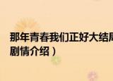 那年青春我们正好大结局是什么（那年青春我们正好大结局剧情介绍）