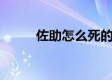 佐助怎么死的（佐助真的死了吗）