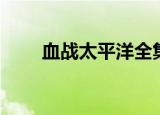 血战太平洋全集（血战太平洋秘籍）
