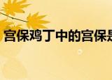 宫保鸡丁中的宫保是指什么（宫保鸡丁介绍）