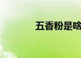 五香粉是啥（五香粉的解释）