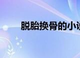 脱胎换骨的小说（脱胎换骨的意思）