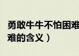 勇敢牛牛不怕困难是什么梗（勇敢牛牛不怕困难的含义）