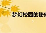 梦幻校园的秘密（梦幻校园小游戏）